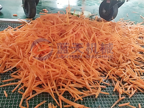 蔬菜烘干機(jī)客戶試機(jī)現(xiàn)場(chǎng)胡蘿卜切絲